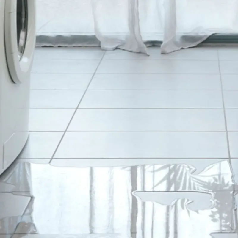 Appliance Leak Cleanup in Mount Vernon, GA