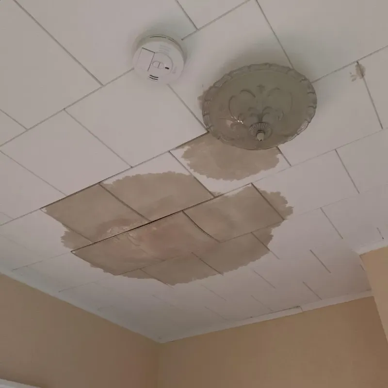 Ceiling Water Damage Repair in Mount Vernon, GA