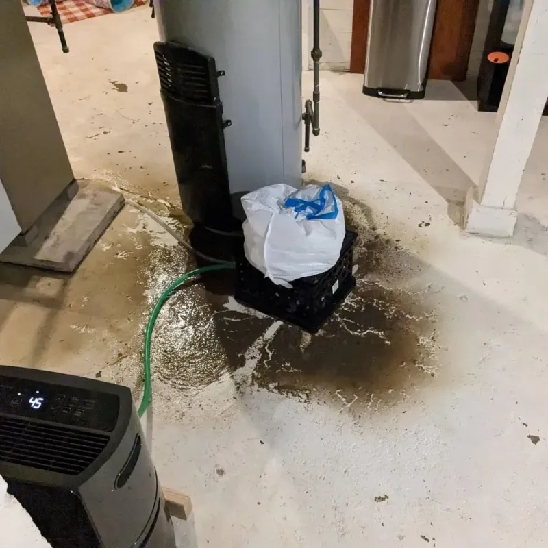 Sewage Backup Cleanup Service in Mount Vernon, GA